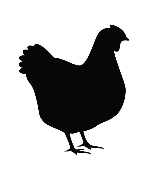 Chicken icon.